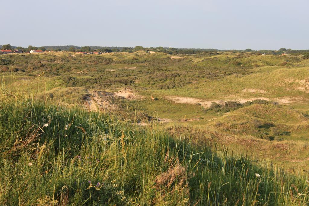 Posthuisje Zandvoort Zimmer foto